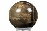 Polished Petrified Wood Sphere - Oregon #308264-1